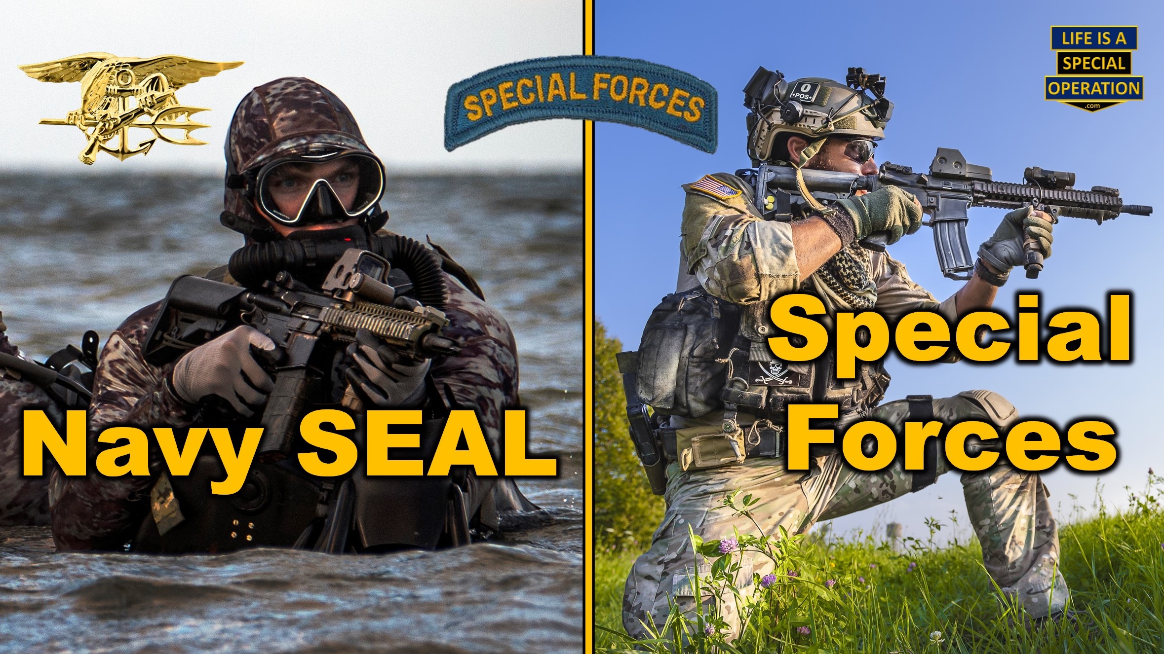 Whats Harder Seal or SF by Life is a Special Operation