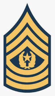 Army E-9 Command Sergeant Major Rank