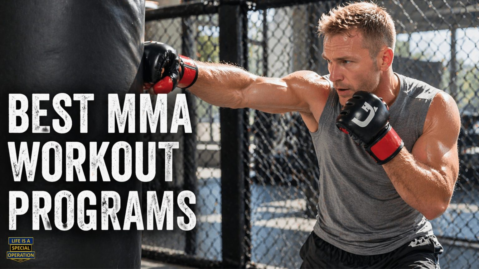 Mma Fighter Program Design Best MMA Workout Programs: Build Strength & Conditioning