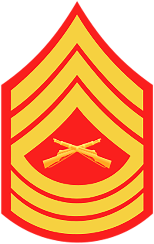 E8 Ranking Marine Corps Enlisted Ranks: The Complete Guide