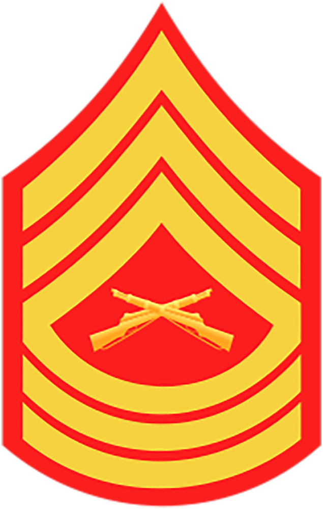 Marine Corps E8 Rank Master Sergeant