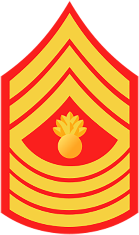 Marine Corps E9 Rank Master Gunnery Sergeant