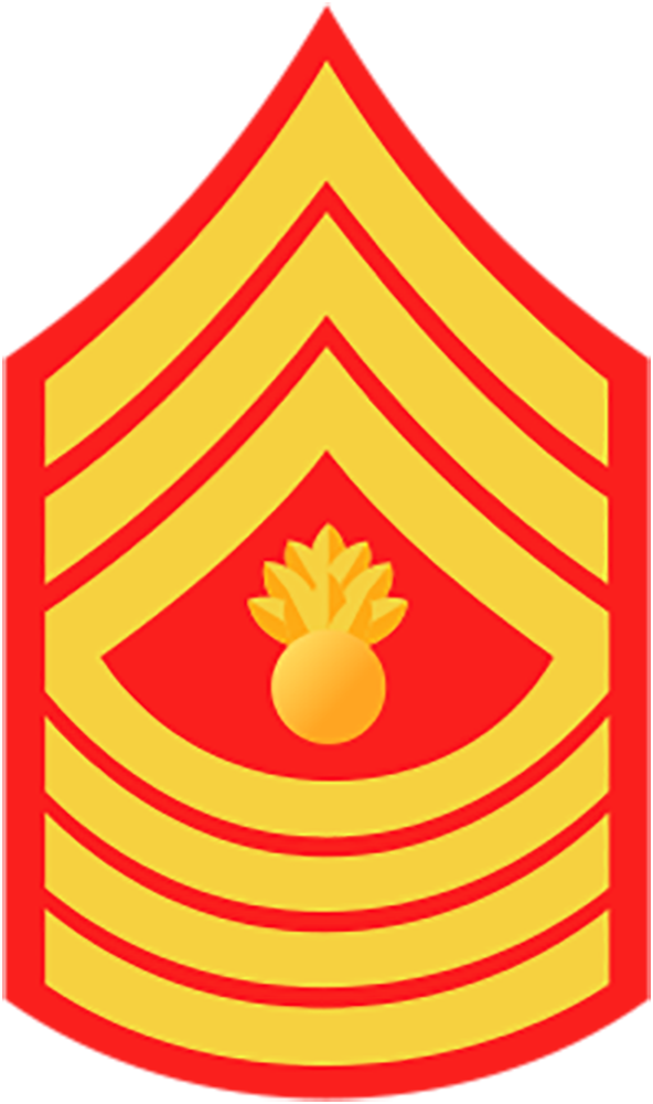 Marine Corps E9 Rank Master Gunnery Sergeant