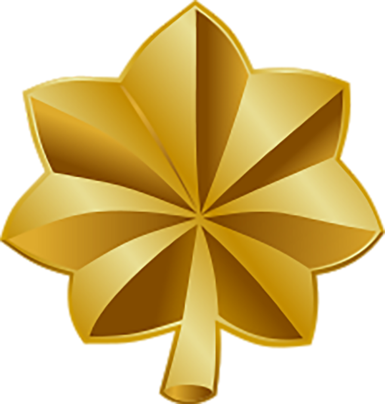 Usmc Officer Ranks Digital Marine Corps Officer Ranks: The Complete Guide