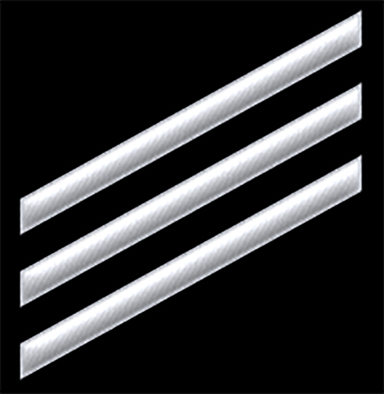 Engine Ranks Seaman Navy Enlisted Ranks: The Complete Guide