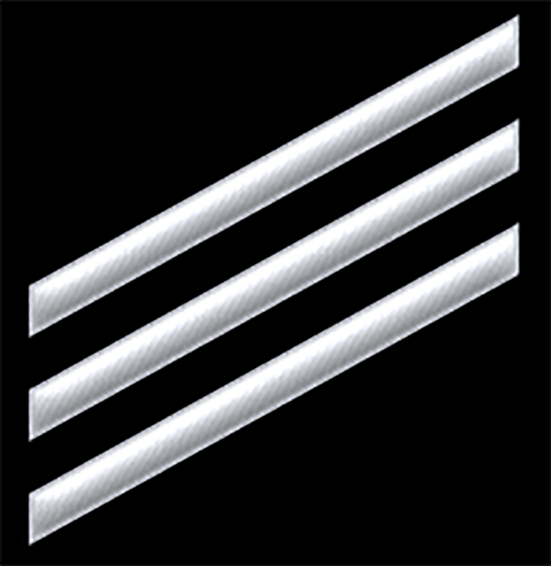 Engine Ranks Seaman Navy Enlisted Ranks: The Complete Guide