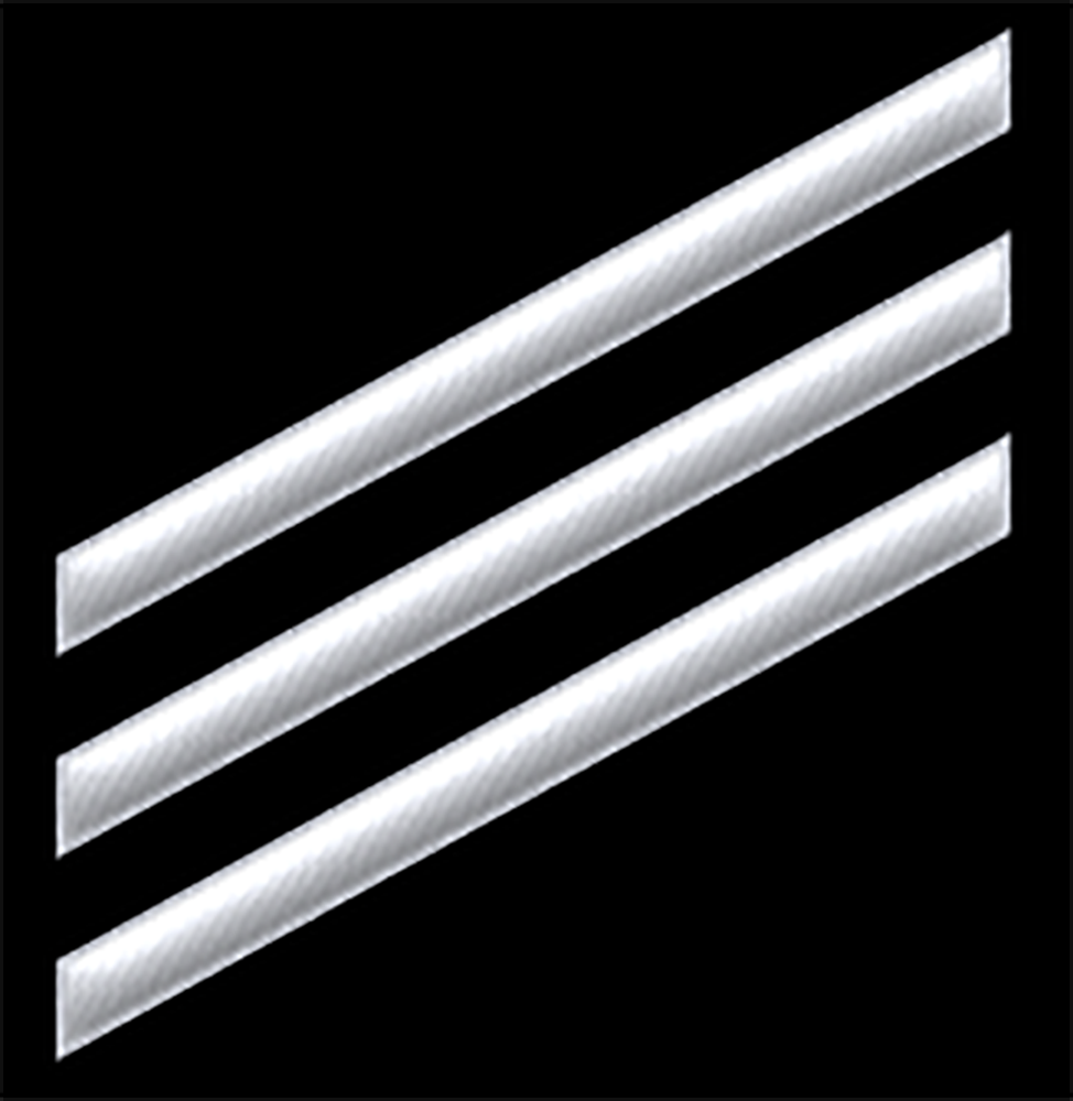 Navy E3 Rank Seaman