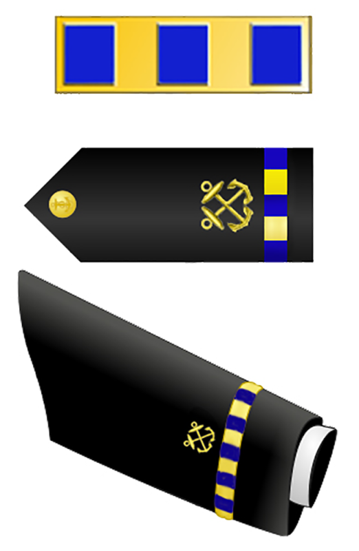 Navy W2 Rank Chief Warrant Officer 2