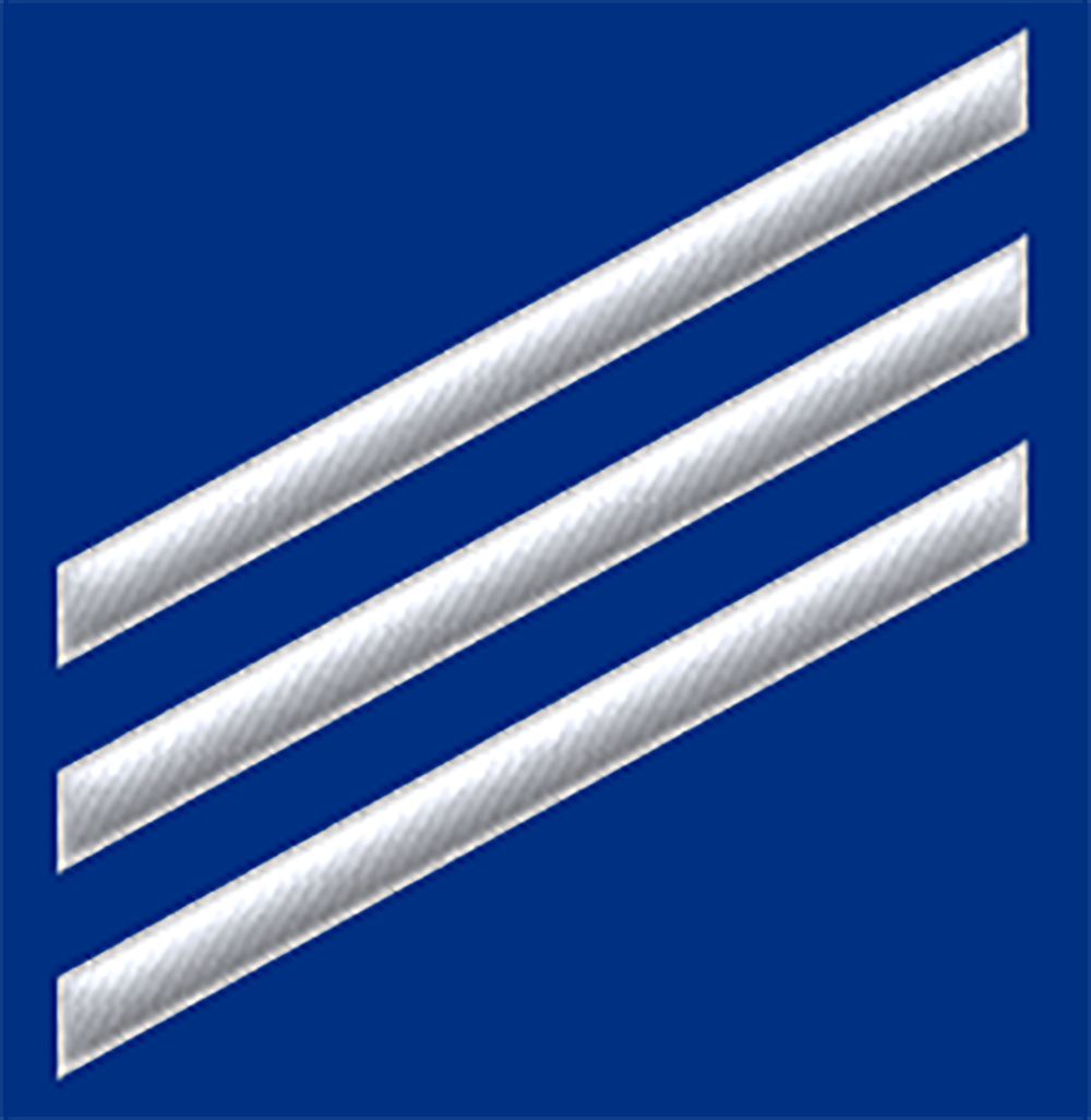 Coast Guard E3 Rank Seaman